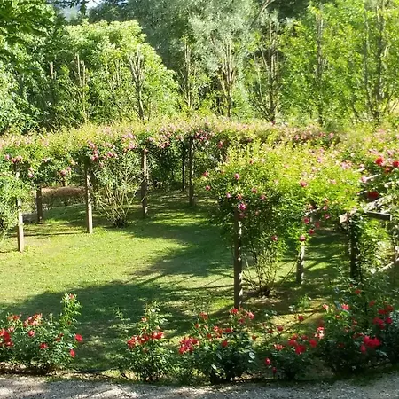Fattoria Di Arsicci