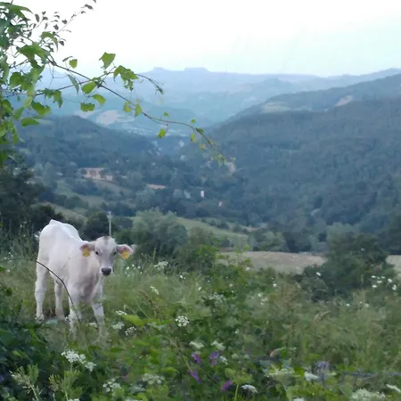 Fattoria Di Arsicci Villa