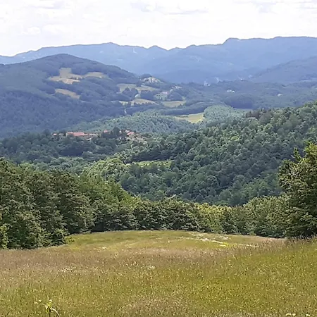 Fattoria Di Arsicci Vila *